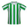 Karpaty Lviv football jersey