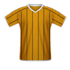 Hull City football jersey