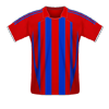 Crystal Palace football jersey