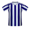 West Bromwich Albion football jersey