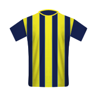 Fenerbahçe SK home football Shirt Fenerbahçe SK home football jersey