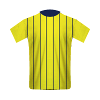 Brighton and Hove Albion away football Shirt Brighton and Hove Albion away football jersey