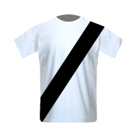 Wolfsberger AC home football Shirt Wolfsberger AC home football jersey