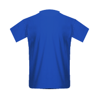Lech Poznań home football Shirt Lech Poznań home football jersey