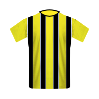 Vitesse home football Shirt Vitesse home football jersey