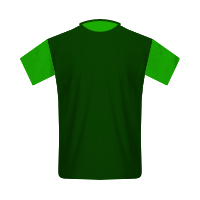 Chapecoense AF home football Shirt Chapecoense AF home football jersey