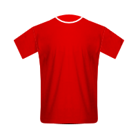 Charlton Athletic home football Shirt Charlton Athletic home football jersey