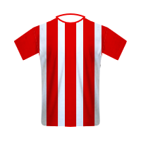 Samsunspor home football Shirt Samsunspor home football jersey