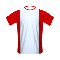Southampton home football Shirt Southampton home football jersey