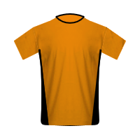 Wolverhampton Wanderers home football Shirt Wolverhampton Wanderers home football jersey