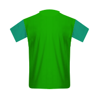 BSG Chemie Leipzig tahanan football Shirt BSG Chemie Leipzig tahanan football jersey