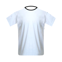 ZFC Meuselwitz away football Shirt ZFC Meuselwitz away football jersey