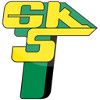Gornik Leczna Gornik Leczna
