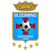 CS Blooming CS Blooming