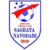 Sageata Navodari Sageata Navodari