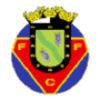 FC Felgueiras 1932 FC Felgueiras 1932