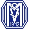 SV Meppen SV Meppen