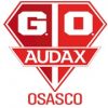 Grêmio Osasco Audax Grêmio Osasco Audax