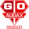 Grêmio Osasco Audax Grêmio Osasco Audax
