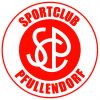 SC Pfullendorf SC Pfullendorf