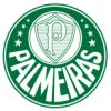 Palmeiras Palmeiras