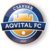 Csákvári TK Csákvári TK