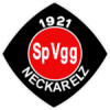 SpVgg Neckarelz SpVgg Neckarelz