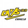 DVS'33 DVS'33