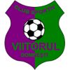 Viitorul Domnesti Viitorul Domnesti