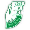 Pelikan Lowicz Pelikan Lowicz
