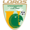 Loros U. de C. Loros U. de C.