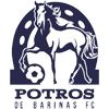 Bari Bari