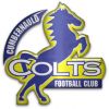Cumbernauld Colts Cumbernauld Colts