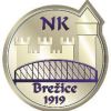 NK Brežice 1919 NK Brežice 1919