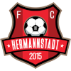FC Hermannstadt FC Hermannstadt