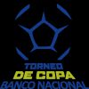 Torneo de Copa Torneo de Copa