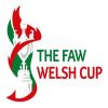 Welsh Cup Welsh Cup