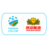 Chinese FA Cup Chinese FA Cup