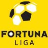Super Liga Super Liga