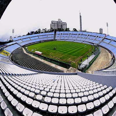 Picture of Centenario