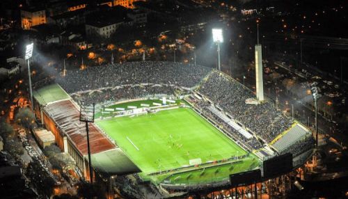 Immagine dello stadio Artemio Franchi