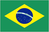 Brazilian Championship 10087