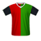 NEC Nijmegen football jersey