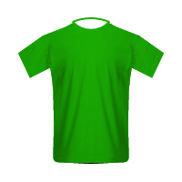 st etienne home shirt