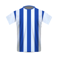 Paysandu SC football club - Soccer Wiki for the fans, by the fans