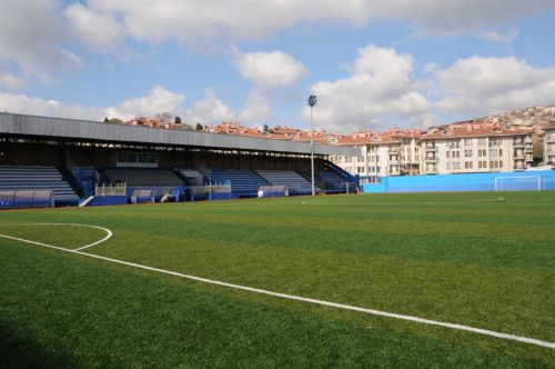 Immagine dello stadio Yusuf Ziya Öniş Stadyumu 