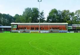 Immagine dello stadio De Boshoek