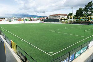 Slika stadiona Coyella Fonseca